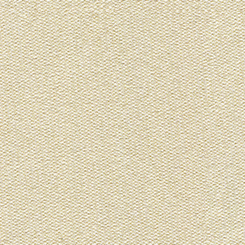 camira-era-cse30.jpg